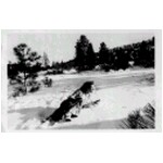 My brother Howard and I lived here, outside San Bernardino until I went to university. Our dog was Inky.
